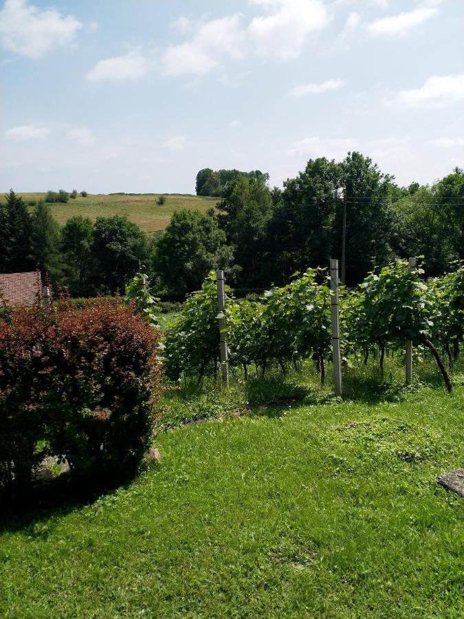 Casavitis Erholung Am Weinberg Apartment Lontzen Luaran gambar