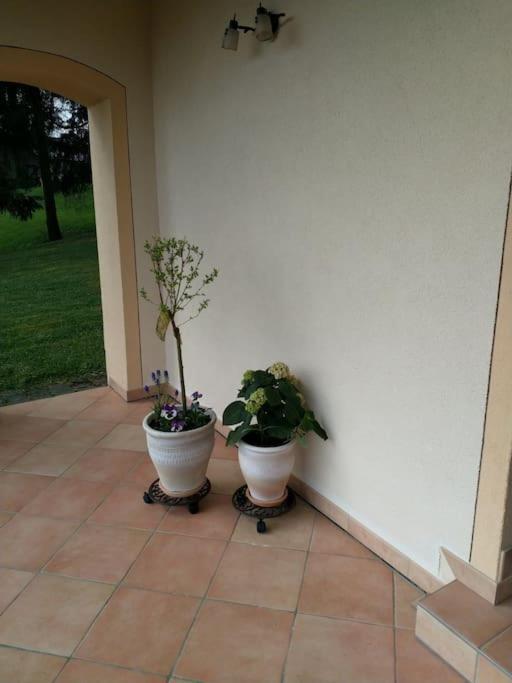 Casavitis Erholung Am Weinberg Apartment Lontzen Luaran gambar